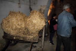 Calatafimi - Segesta366.JPG